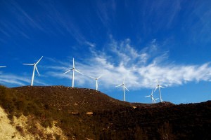 Windkrafträder vor blauem Himmel